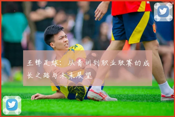 王锋足球：从青训到职业联赛的成长之路与未来展望