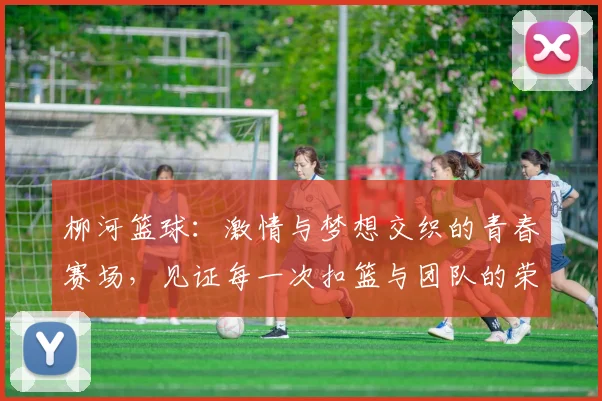 柳河篮球：激情与梦想交织的青春赛场，见证每一次扣篮与团队的荣耀