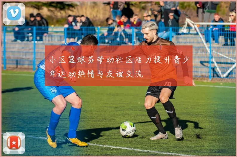 小区篮球芬带动社区活力提升青少年运动热情与友谊交流