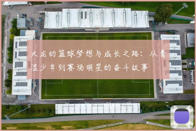 大龙的篮球梦想与成长之路：从青涩少年到赛场明星的奋斗故事